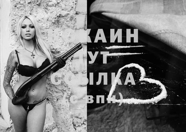 кокс Белокуриха