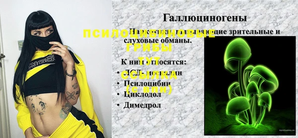 кокс Белокуриха