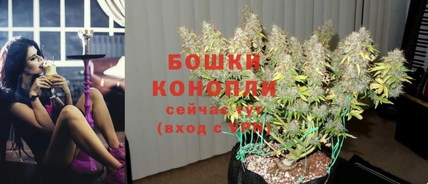 кокс Белокуриха